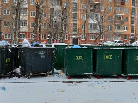 Красноярские депутаты проверили, как в городе вывозится мусор					     title=