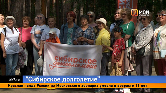 Бесплатная физкультура, рукоделие и даже уроки кибербезопасности доступны красноярским пенсионерам