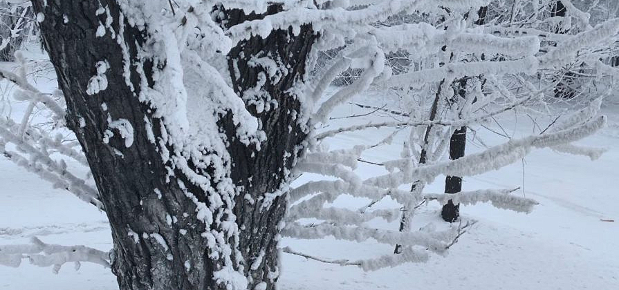 Красноярск подошел к прохладному уикэнду