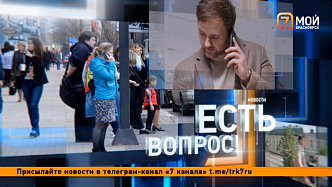 Нашествие летучих мышей в Красноярске, кошки в подвалах и духота в автобусах — рубрика «Есть вопрос»