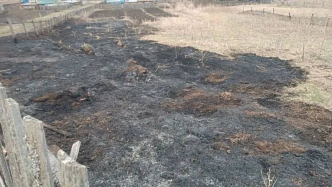 Дети из Красноярского края со скуки сожгли 50 «квадратов» травы в Шарыповском округе
