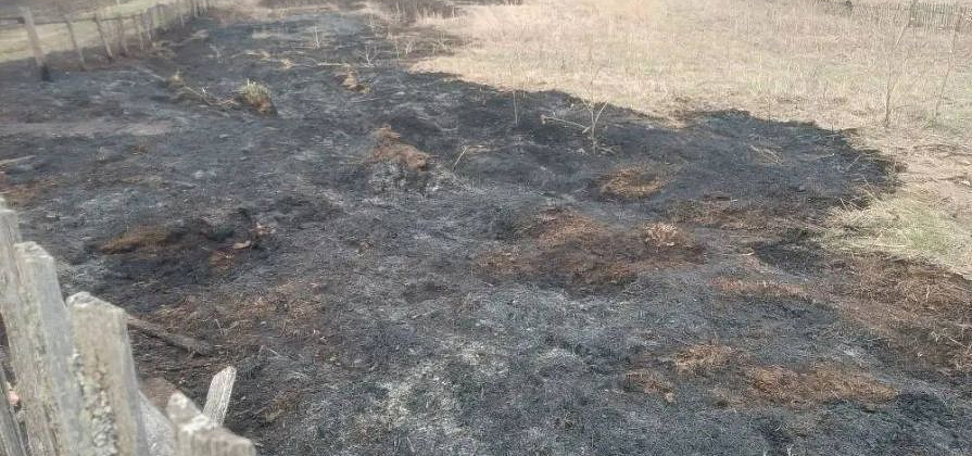 Дети из Красноярского края со скуки сожгли 50 «квадратов» травы в Шарыповском округе