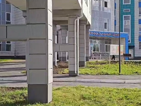 В Ачинске свора бродячих собак ночью растерзала пьяного прохожего возле перинатального центра. Скрин и видео: телеканал «ОСА» город Ачинск