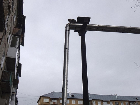 Пожарный Красноярского края спас котенка, который забрался на трубу и жалобно мяукал. Фото: vk.com/agochs_krsk