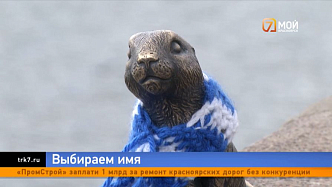 Новой достопримечательности Красноярска – суслику – ищут имя
