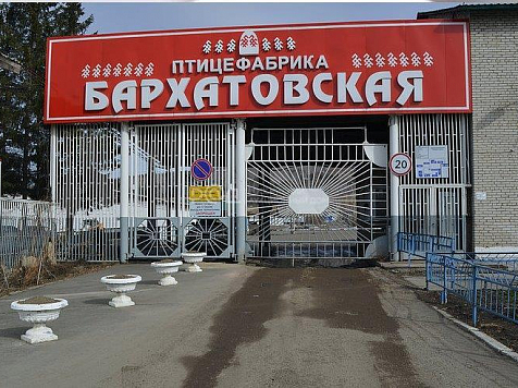 Торги по продаже 100% акций Бархатовской птицефабрики намечены на 30 сентября. Фото: auction-house.ru