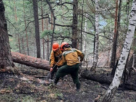 В Красноярском крае за последние сутки потушили четыре лесных пожара . Фото: Лесопожарный центр