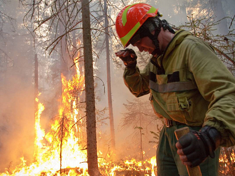 Лесной пожар тушат в Богучанском районе. Фото: aviales.ru