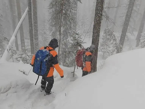 Глава СК затребовал доклады о безвести пропавших жителях Красноярского края. Фото: КГКУ «Спасатель»
