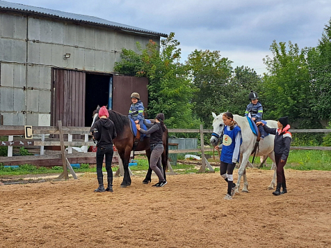 В Красноярске единственному конному клубу, где проводят занятия по иппотерапии для детей-инвалидов развития, грозит закрытие. Фото: vk.com/kapriolclub