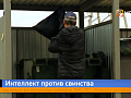 В Красноярске начали борьбу с незаконными свалками с помощью искусственного интеллекта 