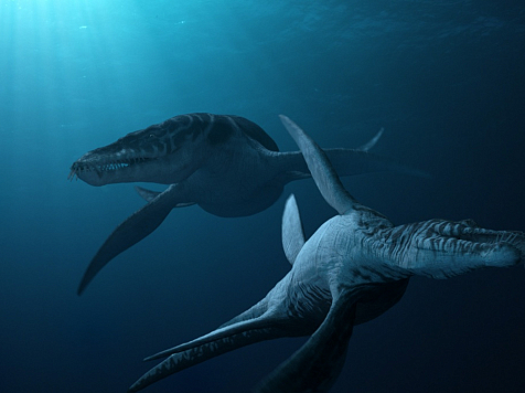Российские ученые нашли останки морских динозавров в Красноярском крае. Фото: Кинопоиск / Sea Rex 3D: Journey to a Prehistoric World