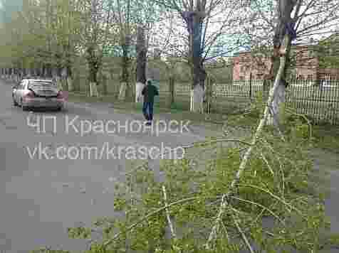 Показываем последствия сильного ветра: валит деревья и сносит заборы. Фото: (1, 3) «ЧП Красноярск» / vk.com, (2) Сергей Иванов / vk.com, (4) «Наш мк. Солнечный» / vk.com