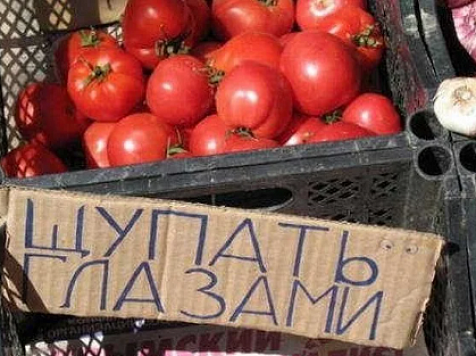 Почему в Красноярском крае дорожают помидоры – Центробанк об инфляции. Фото: <a href="https://zen.yandex.com/id/5cd6c706c9c89500afe9232f">Весёлый канал на Яндекс.Дзен</a>