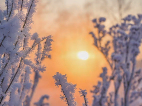 Дождь и плюсовая температура ожидаются в Красноярске за четыре дня до Нового года. Фото: ru.freepik.com