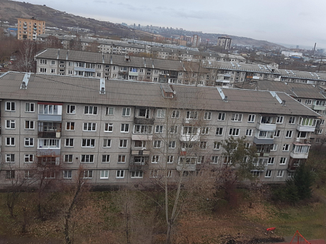 Радиус карантина по бешенству в Красноярске вырос вдвое. Фото: Анна Чалая / 2GIS