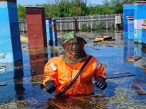 Красноярских пожарных поблагодарили за спасение 40 ульев . Фото: МЧС