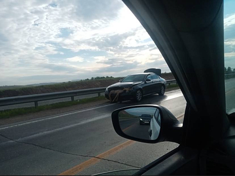 Водитель на «Мерседесе» сбил косулю у Дрокино. Фото: Lipa/ 2gis.