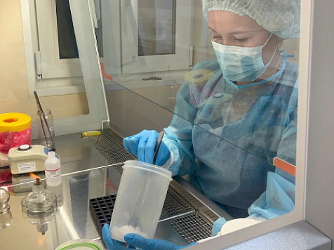 Погодные качели не повлияли на активность красноярских клещей. Фото: ФСНКЦ
ФМБА