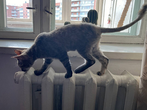 В Красноярске завершилась подача отопления во все жилые дома и здания ﻿. Фото: Елизавета Маркина/7 канал Красноярск