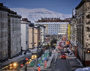 В Норильске ввели карантин из-за случая бешенства