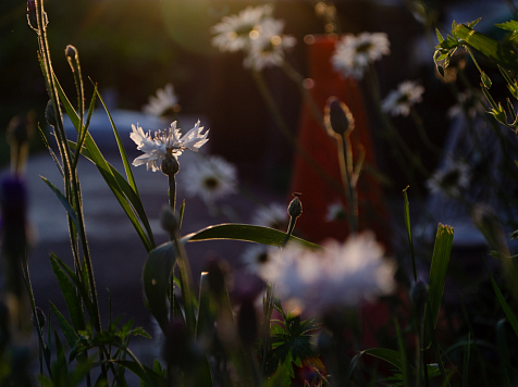 Конец апреля подготовил для красноярцев теплые выходные. Фото: JN Photos