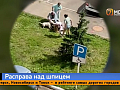 Бультерьер на поводке разодрал чужого шпица в Красноярске