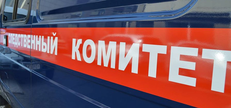 Бастрыкин взял на контроль дело об оскорблении Бессмертного полка в Красноярском крае