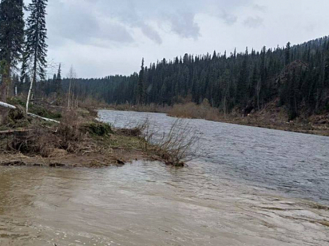 Золотодобытчики нанесли ущерб трем рекам Красноярского края на 150 млн рублей. Фото: Минэкологии края