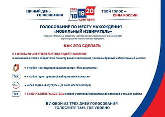 В Красноярском крае началась подача заявлений о голосовании 