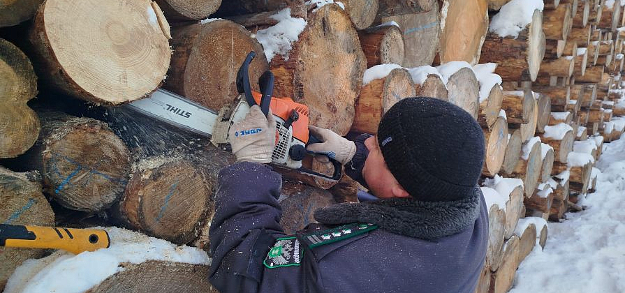 Китай остается основным импортером сибирской древесины