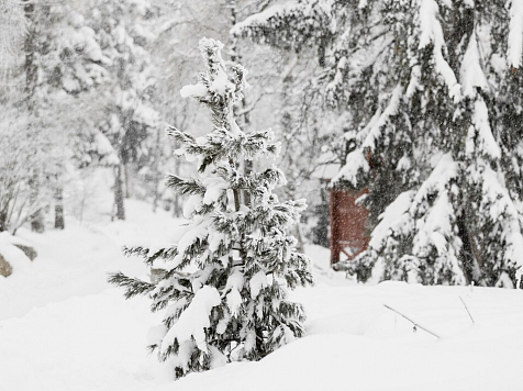 Синоптики дали предварительный прогноз погоды в Красноярске на декабрь. Фото: freepik.com