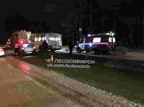 Водитель устроил жесткое ДТП с лесовозом на трассе: массово пострадали пассажиры (фото). Фото: «ЧП Лесосибирск» / vk.com