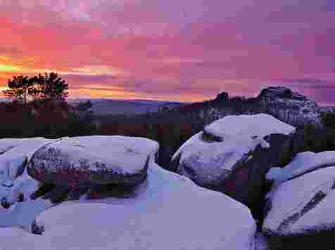 Огромные кучи туш цинично убитых оленей обнаружили защитники природы на севере. zapovednik-stolby.ru