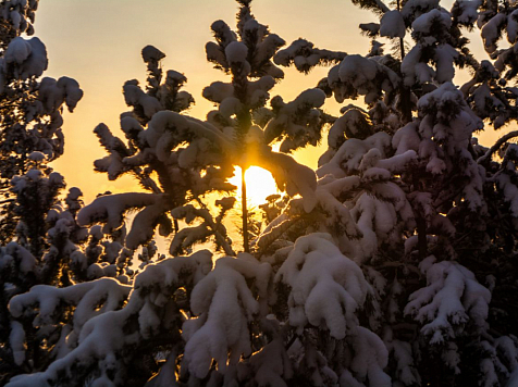 Синоптики спрогнозировали 40-градусные морозы в Красноярске: рассказываем, когда их ждать. Фото: Алик Мелконян