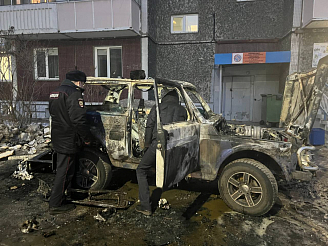 Двухлетний ребёнок пострадал в загоревшемся автомобиле в Красноярске