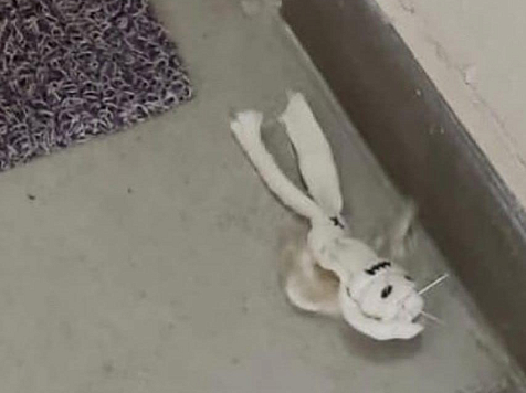 В Красноярске хулиган подбросил соседям под двери куклы вуду. Фото: vk.com/krskoverhear