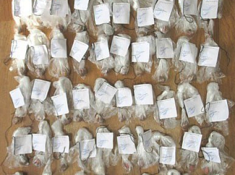 В качестве подработки раскладывала закладки: в Железногорске завели уголовное дело на предприимчивую студентку. Фото: t.me/mvd_24