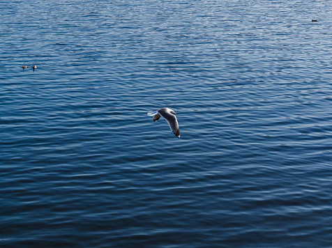 Облачно и прохладно будет в Красноярске в пятницу. Фото: Алик Мелконян