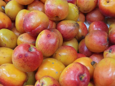 Тонну опасных нектаринов изъяли на рынке «Южный» в Красноярске