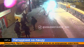 Самурай напал на панду у кинотеатра «Луч» в Красноярске