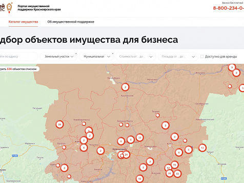 Для предпринимателей и самозанятых Красноярского края создан портал имущественной поддержки. Фото: krskstate.ru