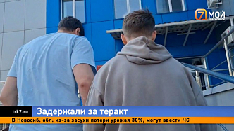 Поджог по чужой указке: в Красноярском крае 24-летнего парня задержали за теракт на подстанции