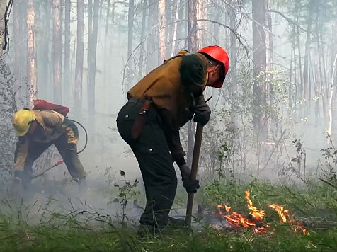 На выходных в Красноярском крае ликвидировали шесть лесных пожаров. Фото: ФБУ «Авиалесоохрана» / ТАСС