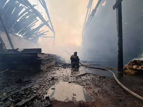 В Красноярском крае загорелся склад зерна на площади более 1700 квадратных метров. Фото: МЧС