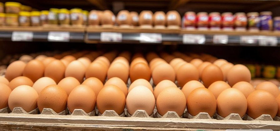 До 190 рублей подорожали яйца в Красноярске за несколько месяцев