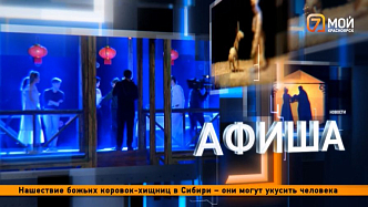 Сказки на экране и сцене, джазовый драйв и виды с балкона Юдинки: афиша Красноярска на выходные