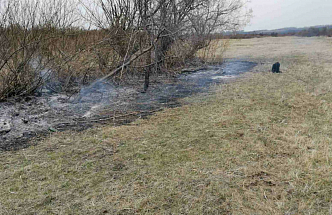 Пастух в Красноярском крае решил погреться и устроил пожар