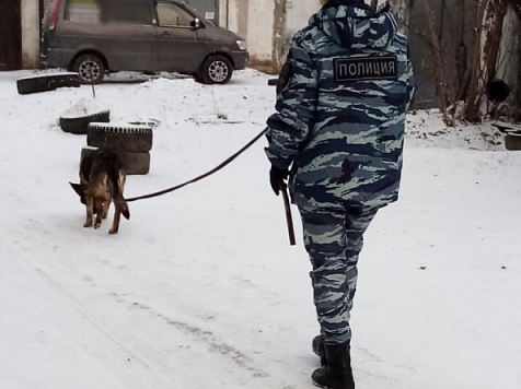 В Красноярске полицейские со служебной собакой раскрыли кражу за 40 минут. Фото: 24.мвд.рф