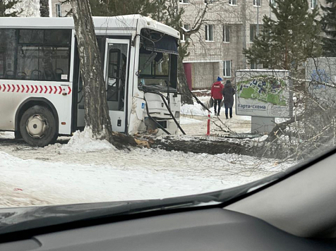 В Красноярске водителю автобуса №63 стало плохо, он врезался в дерево